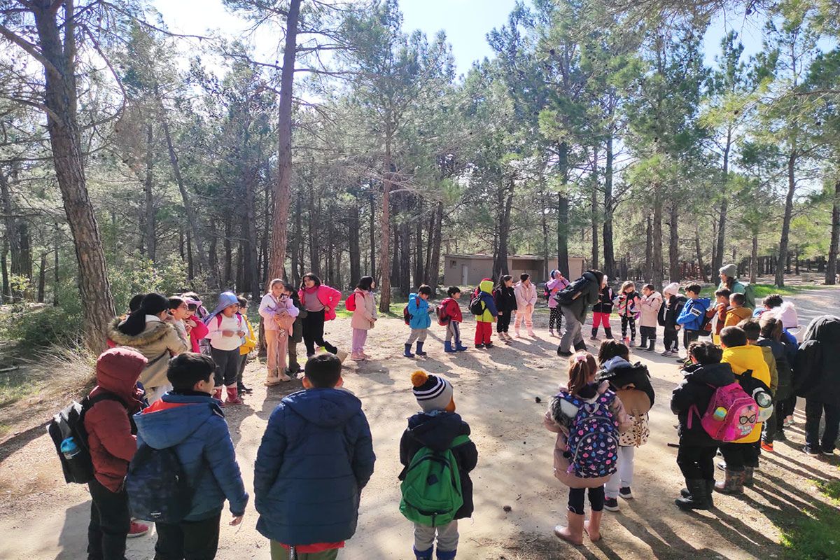 Ekolojik Çocuk Köyü