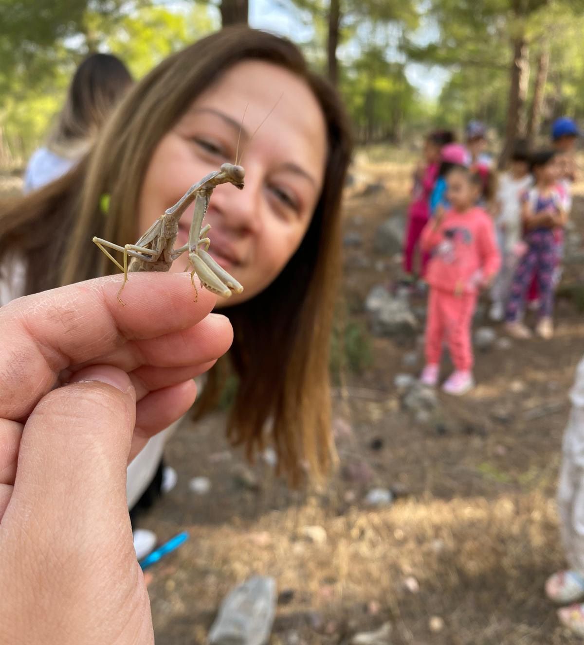 Siverek Levent Oto Kurtarıcı